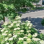 Poznaj